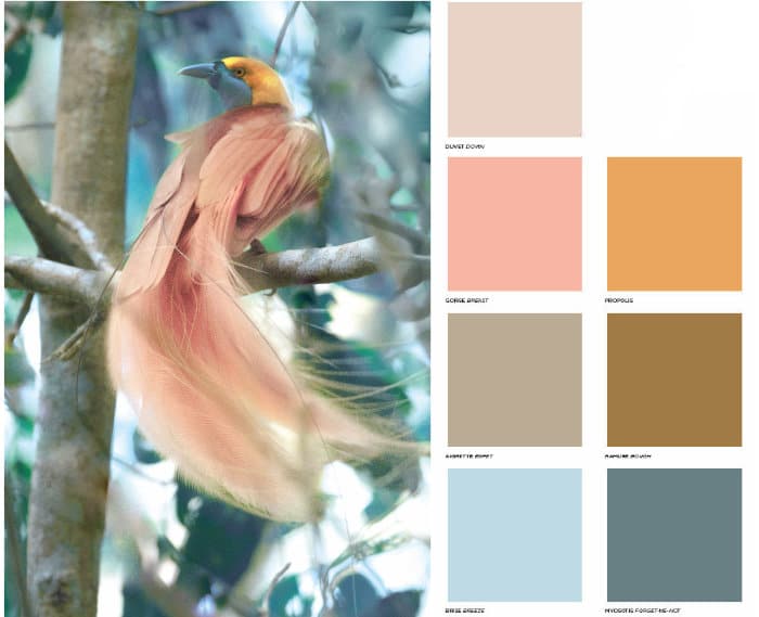 Colores gama Grace