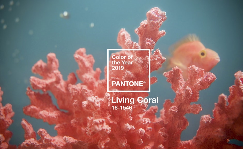 Color Pantone 2019 Living Coral