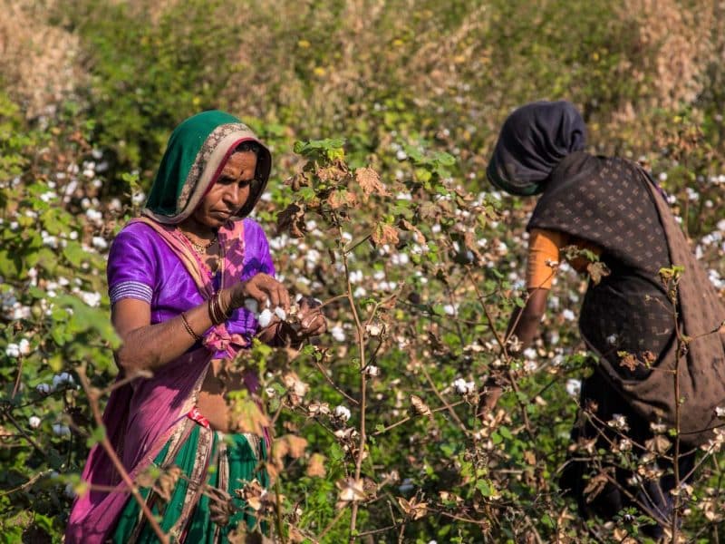 El futuro de la India también está en la sostenibilidad