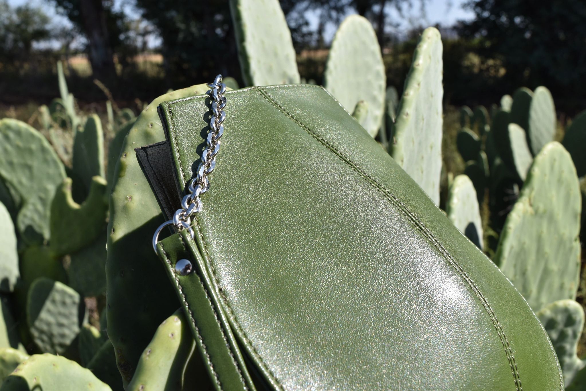 Conoce ‘Desserto’, el cuero vegetal hecho a base de cactus en México