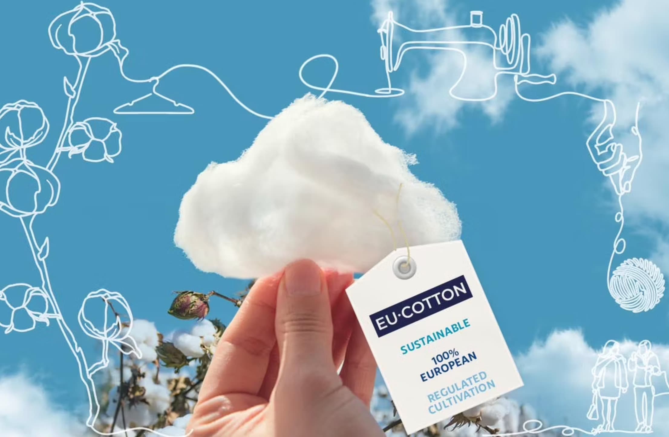 eucotton