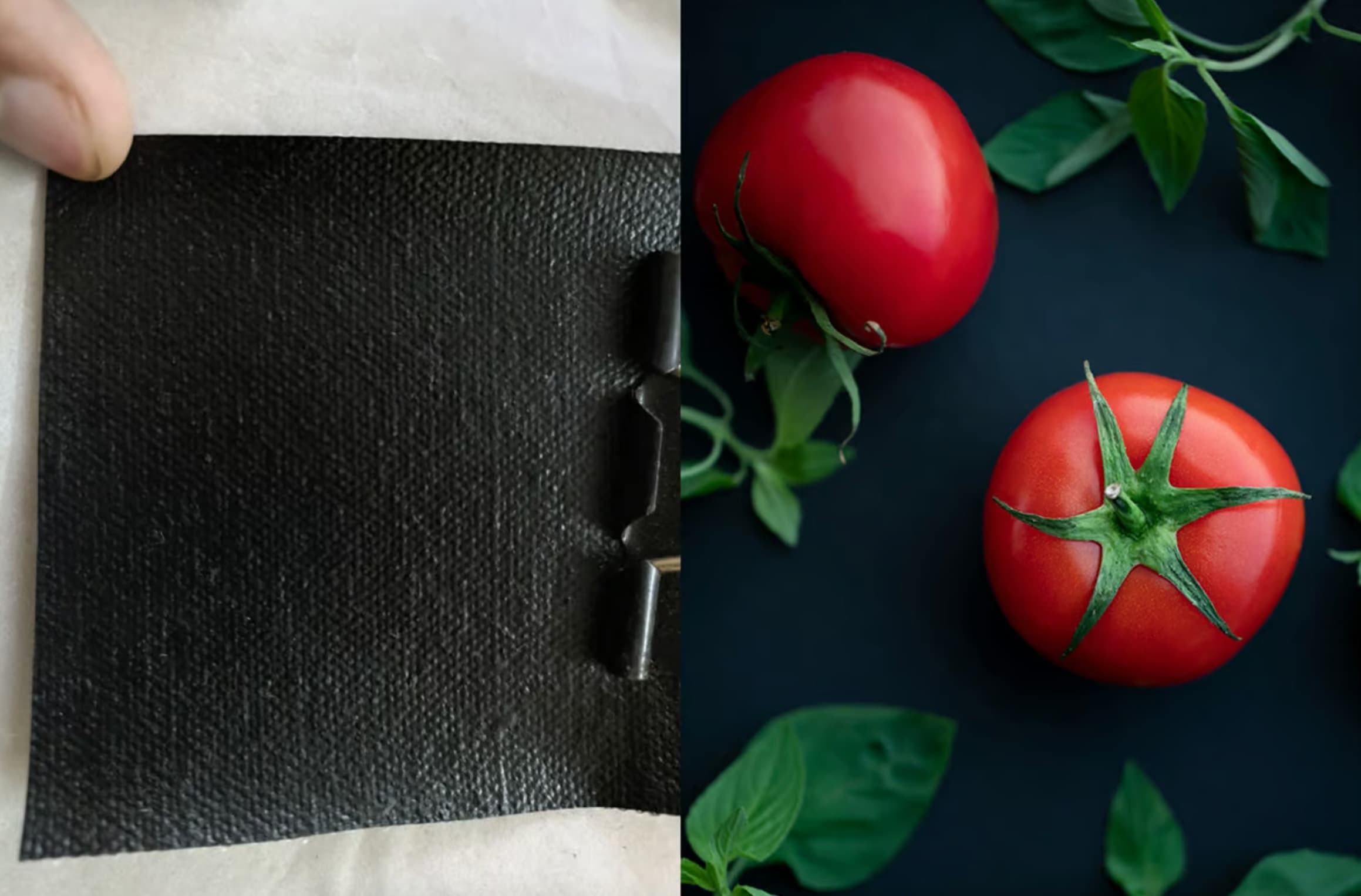 Cuero vegano fabricado a partir de piel de tomates
