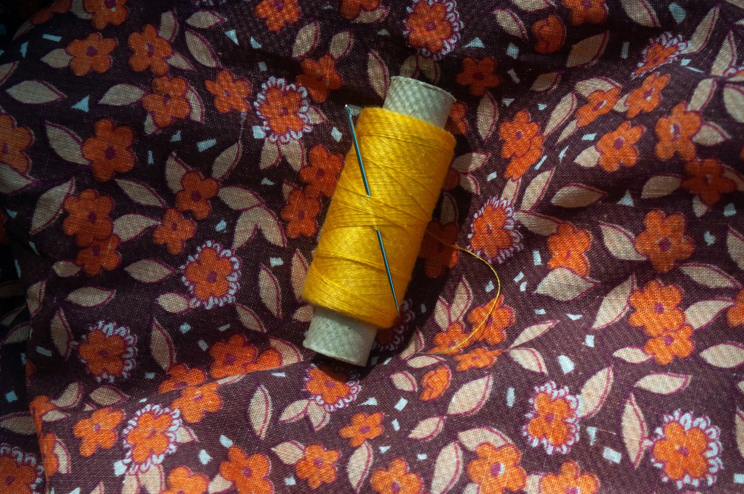 moda regenerativa